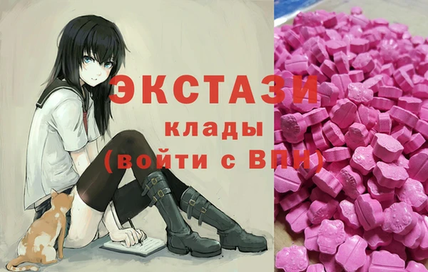 стаф Новодвинск
