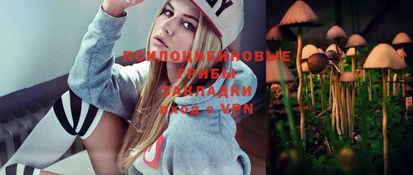 не бодяженный Нязепетровск