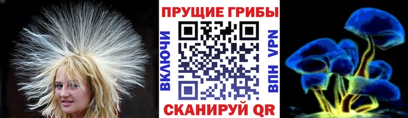 Псилоцибиновые грибы Psilocybine cubensis Котовск