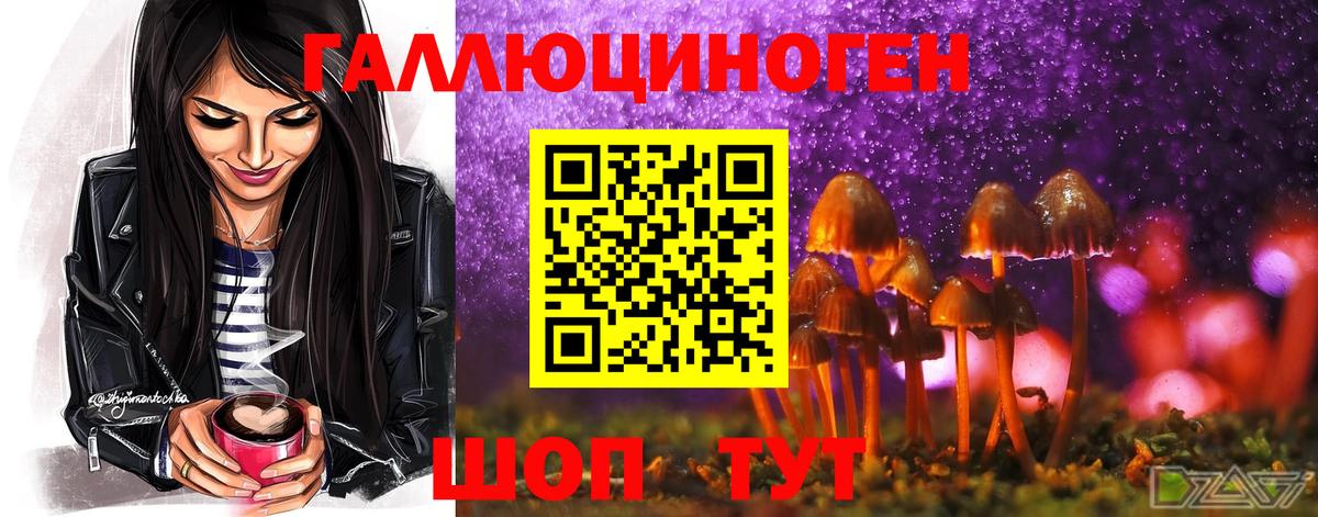Галлюциногенные грибы Cubensis  Вход с VPN  Котовск  Галлюциногенные грибы Psilocybe 