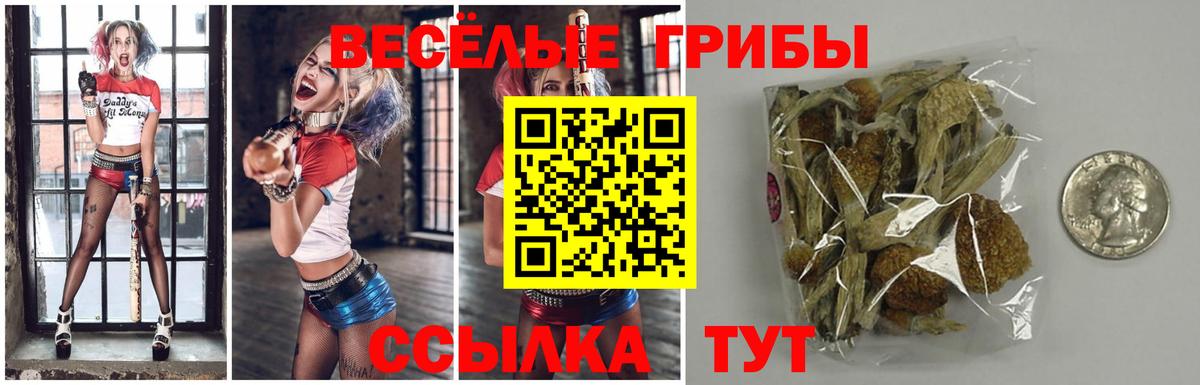 Псилоцибиновые грибы GOLDEN TEACHER Котовск