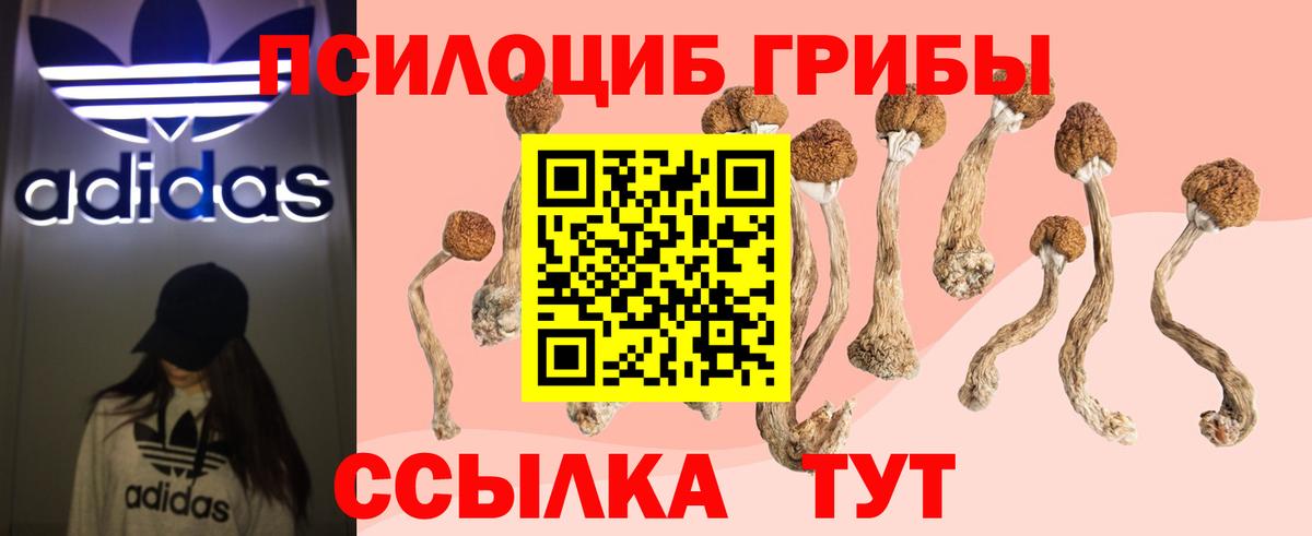 Галлюциногенные грибы ЛСД Котовск